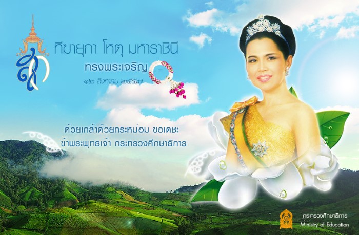 ทดสอบระบบภาพกิจกรรม 2